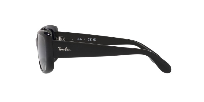 Ray-Ban RB 4389 601/71 55 Unisex Güneş Gözlüğü - 3