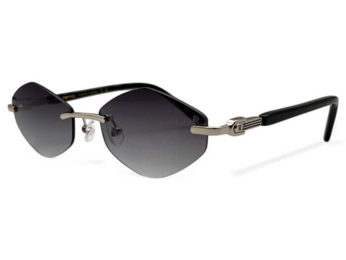 RETRO NIRVANA II C02 Kadın Güneş Gözlüğü - RETRO